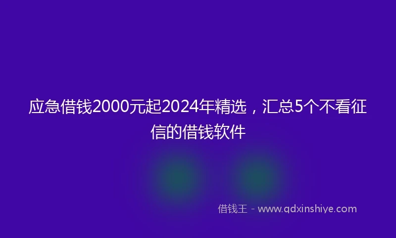 应急借钱2000元起2024年精选，汇总5个不看征信的借钱软件