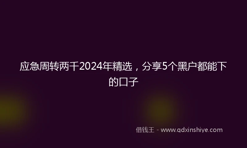 应急周转两千2024年精选，分享5个黑户都能下的口子