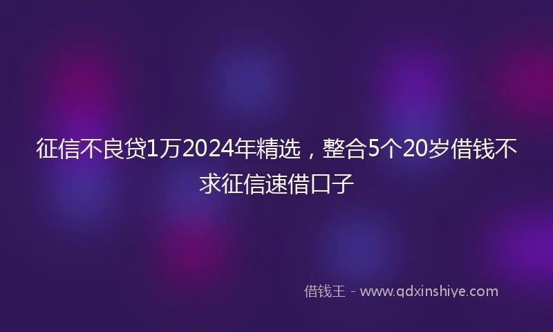 征信不良贷1万2024年精选，整合5个20岁借钱不求征信速借口子