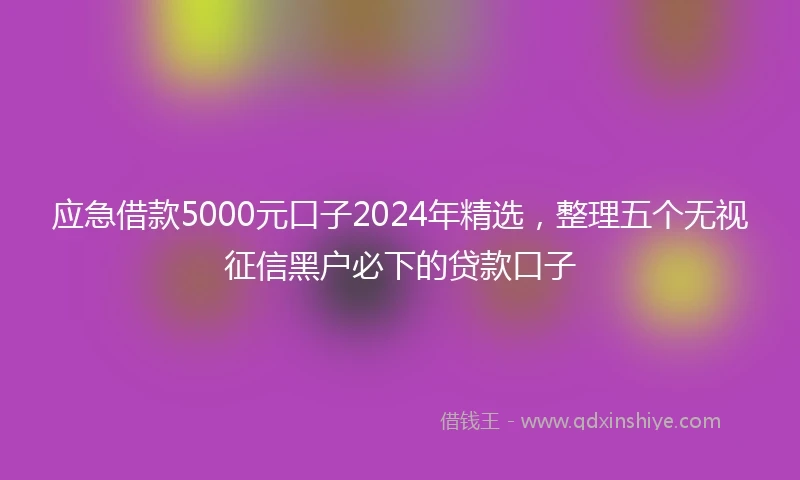 应急借款5000元口子2024年精选，整理五个无视征信黑户必下的贷款口子