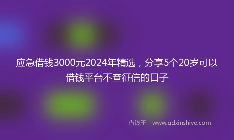 应急借钱3000元2024年精选，分享5个20岁可以借钱平台不查征信的口子