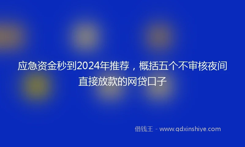 应急资金秒到2024年推荐，概括五个不审核夜间直接放款的网贷口子
