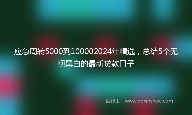 应急周转5000到100002024年精选，总结5个无视黑白的最新贷款口子