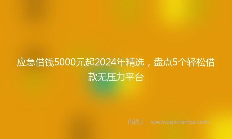 应急借钱5000元起2024年精选，盘点5个轻松借款无压力平台