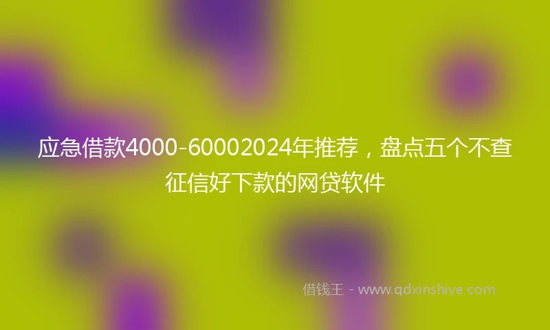 应急借款4000-60002024年推荐，盘点五个不查征信好下款的网贷软件