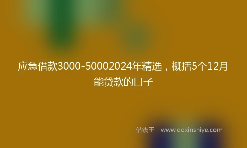 应急借款3000-50002024年精选，概括5个12月能贷款的口子
