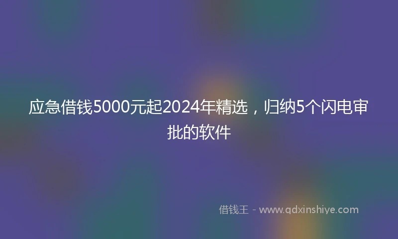 应急借钱5000元起2024年精选，归纳5个闪电审批的软件