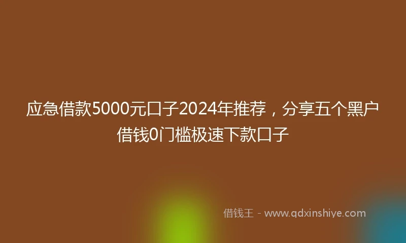 应急借款5000元口子2024年推荐，分享五个黑户借钱0门槛极速下款口子