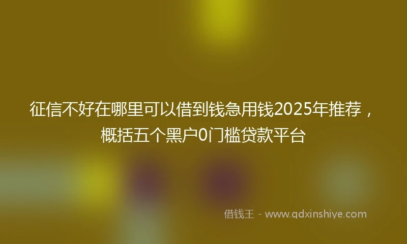 征信不好在哪里可以借到钱急用钱2025年推荐，概括五个黑户0门槛贷款平台