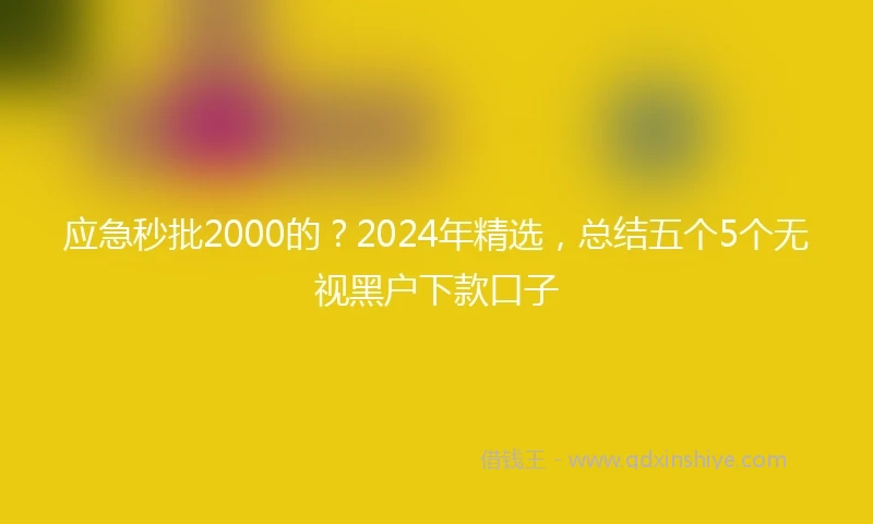 应急秒批2000的？2024年精选，总结五个5个无视黑户下款口子