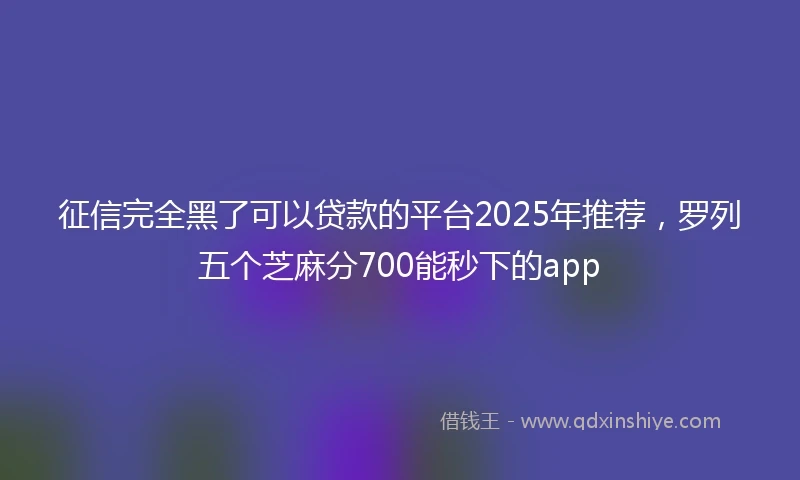 征信完全黑了可以贷款的平台2025年推荐，罗列五个芝麻分700能秒下的app