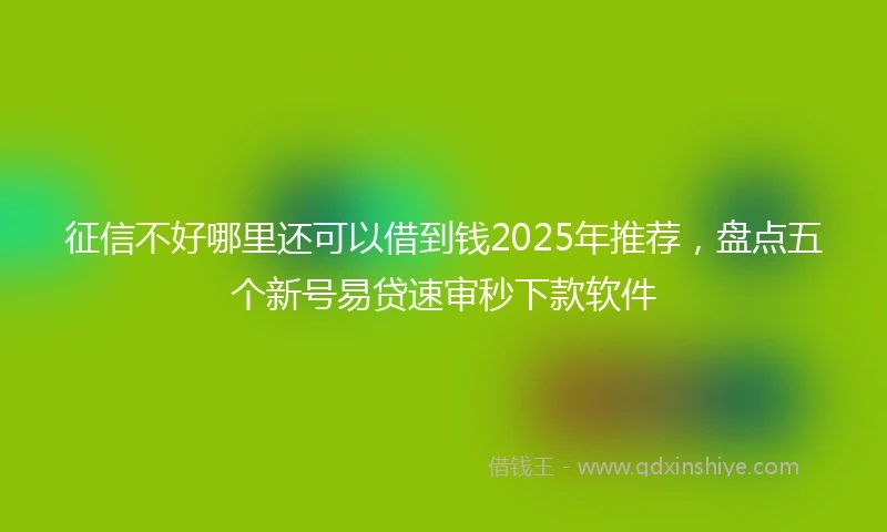 征信不好哪里还可以借到钱2025年推荐，盘点五个新号易贷速审秒下款软件