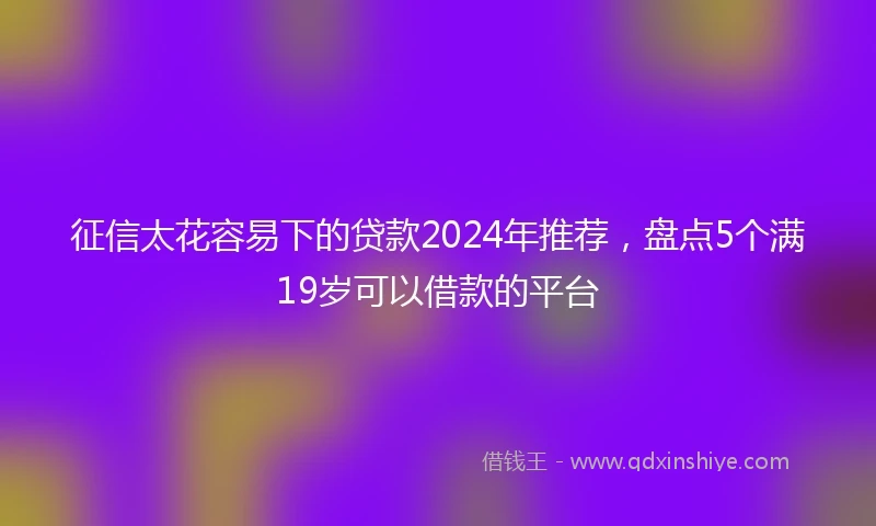 征信太花容易下的贷款2024年推荐，盘点5个满19岁可以借款的平台