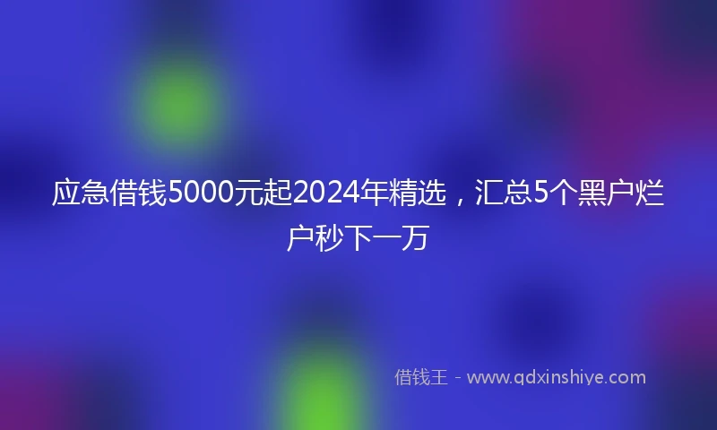 应急借钱5000元起2024年精选，汇总5个黑户烂户秒下一万