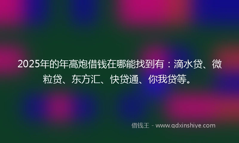 2025年的年高炮借钱在哪能找到有：滴水贷、微粒贷、东方汇、快贷通、你我贷等。
