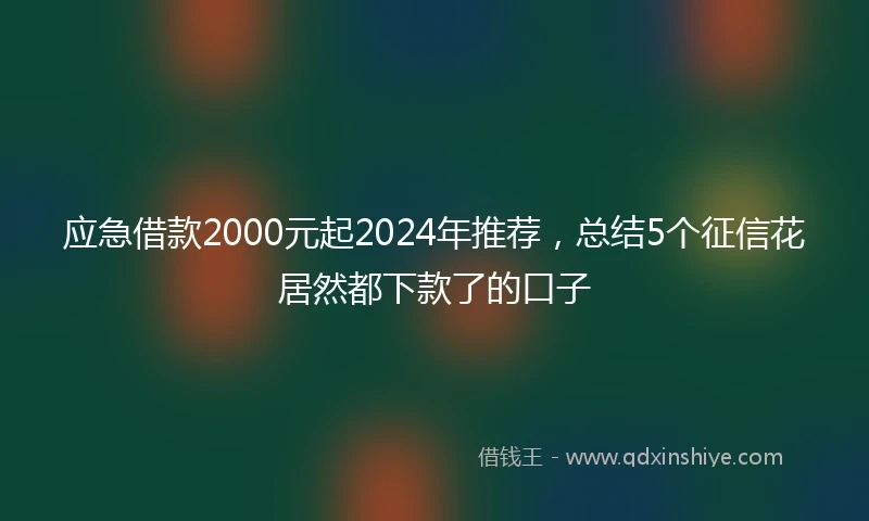 应急借款2000元起2024年推荐，总结5个征信花居然都下款了的口子