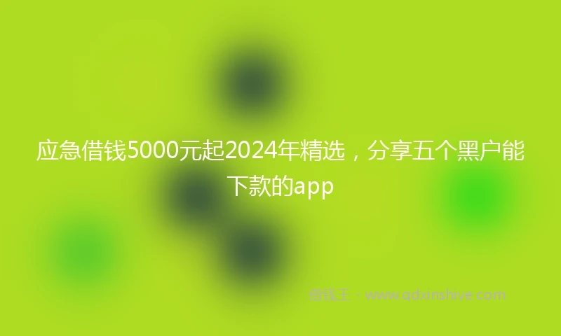 应急借钱5000元起2024年精选，分享五个黑户能下款的app