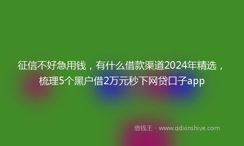 征信不好急用钱，有什么借款渠道2024年精选，梳理5个黑户借2万元秒下网贷口子app