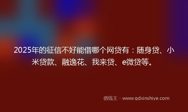 2025年的征信不好能借哪个网贷有：随身贷、小米贷款、融逸花、我来贷、e微贷等。