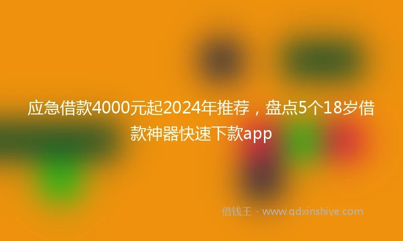 应急借款4000元起2024年推荐，盘点5个18岁借款神器快速下款app