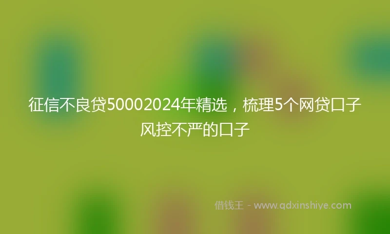 征信不良贷50002024年精选，梳理5个网贷口子风控不严的口子