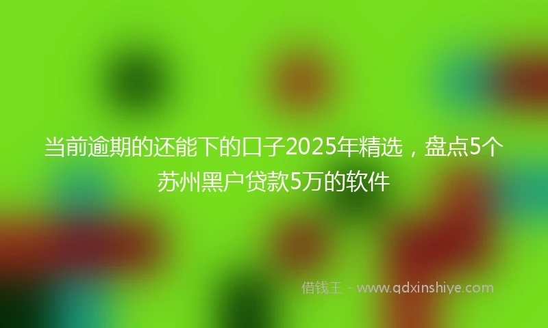 当前逾期的还能下的口子2025年精选，盘点5个苏州黑户贷款5万的软件