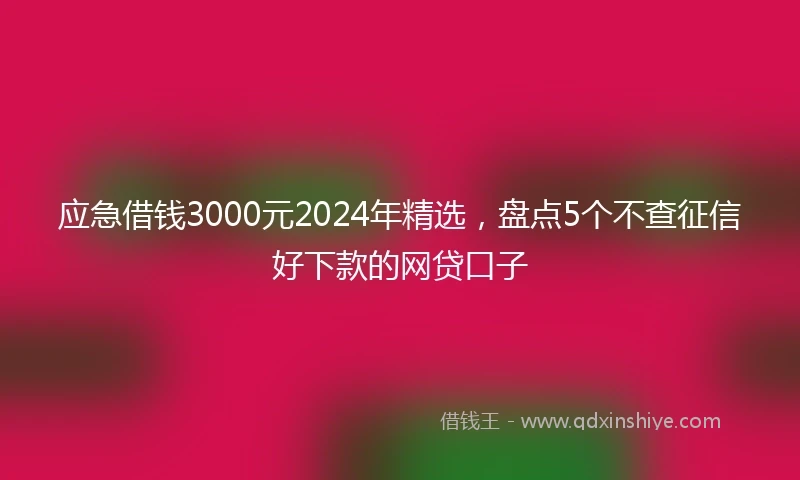 应急借钱3000元2024年精选，盘点5个不查征信好下款的网贷口子