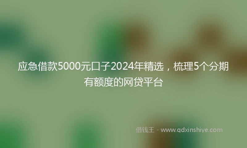 应急借款5000元口子2024年精选，梳理5个分期有额度的网贷平台