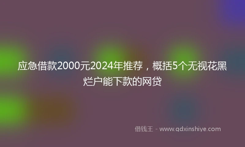 应急借款2000元2024年推荐，概括5个无视花黑烂户能下款的网贷