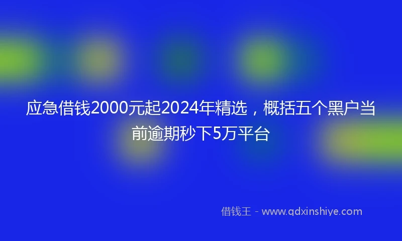 应急借钱2000元起2024年精选，概括五个黑户当前逾期秒下5万平台