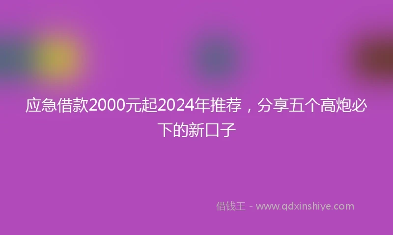 应急借款2000元起2024年推荐，分享五个高炮必下的新口子