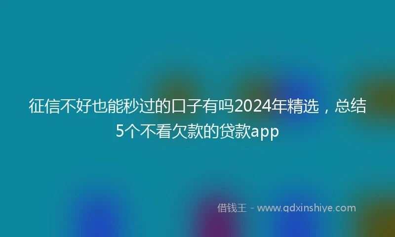 征信不好也能秒过的口子有吗2024年精选，总结5个不看欠款的贷款app