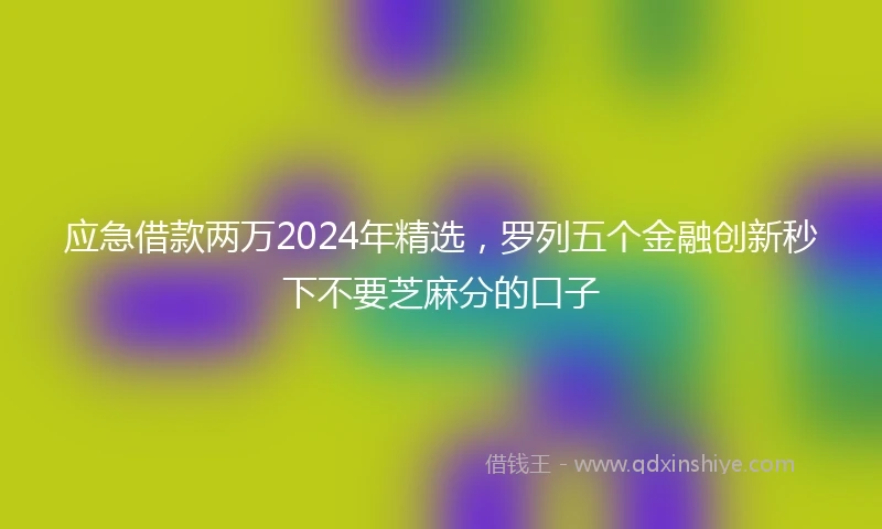 应急借款两万2024年精选，罗列五个金融创新秒下不要芝麻分的口子