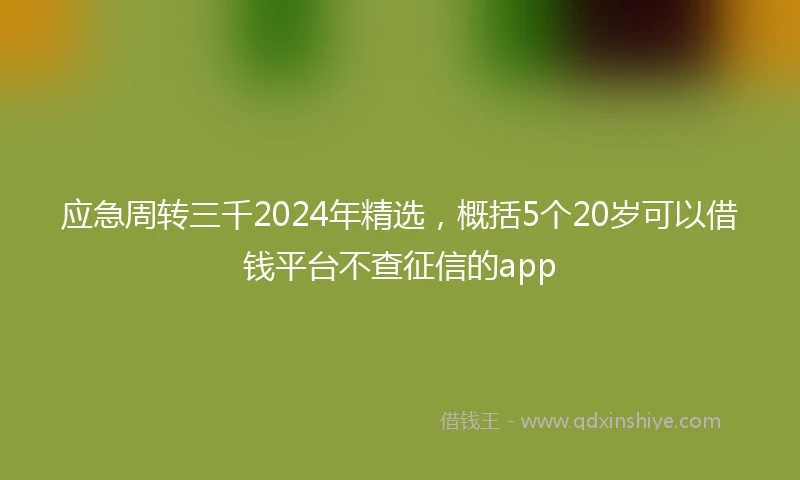 应急周转三千2024年精选，概括5个20岁可以借钱平台不查征信的app