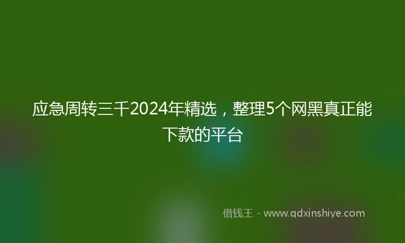 应急周转三千2024年精选，整理5个网黑真正能下款的平台