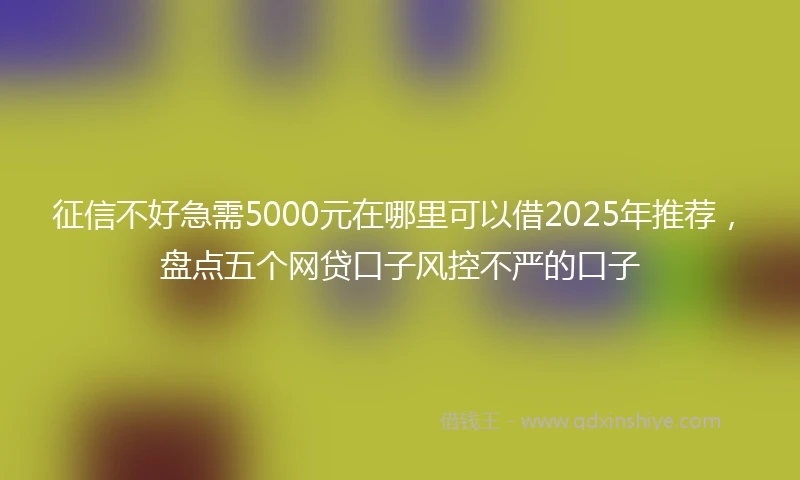 征信不好急需5000元在哪里可以借2025年推荐，盘点五个网贷口子风控不严的口子