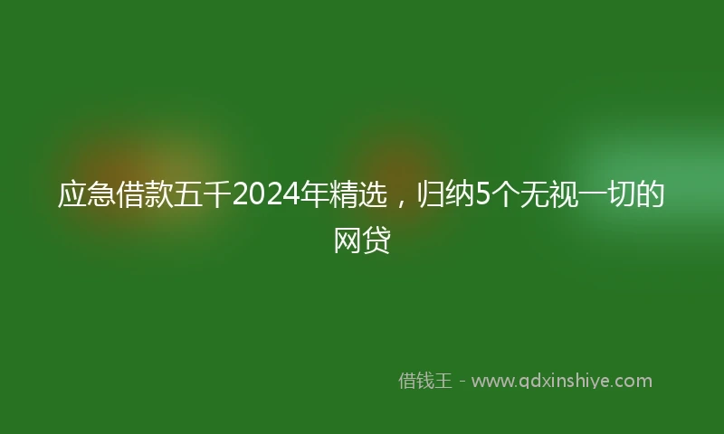 应急借款五千2024年精选，归纳5个无视一切的网贷