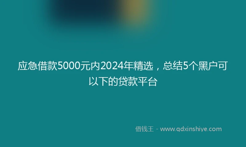 应急借款5000元内2024年精选，总结5个黑户可以下的贷款平台