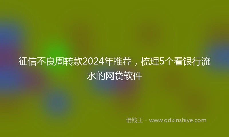 征信不良周转款2024年推荐，梳理5个看银行流水的网贷软件
