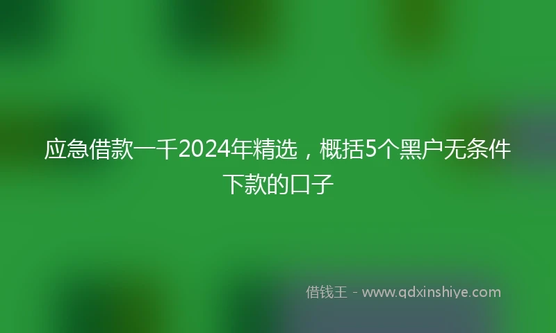 应急借款一千2024年精选，概括5个黑户无条件下款的口子
