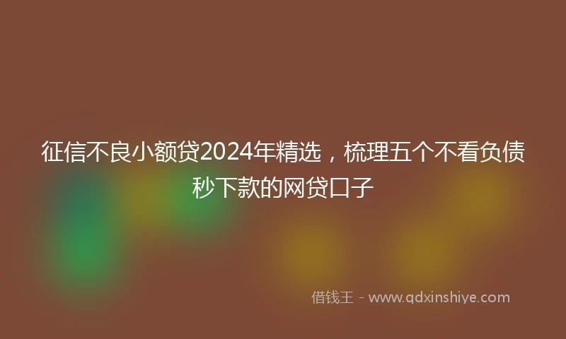 征信不良小额贷2024年精选，梳理五个不看负债秒下款的网贷口子