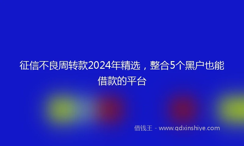 征信不良周转款2024年精选，整合5个黑户也能借款的平台