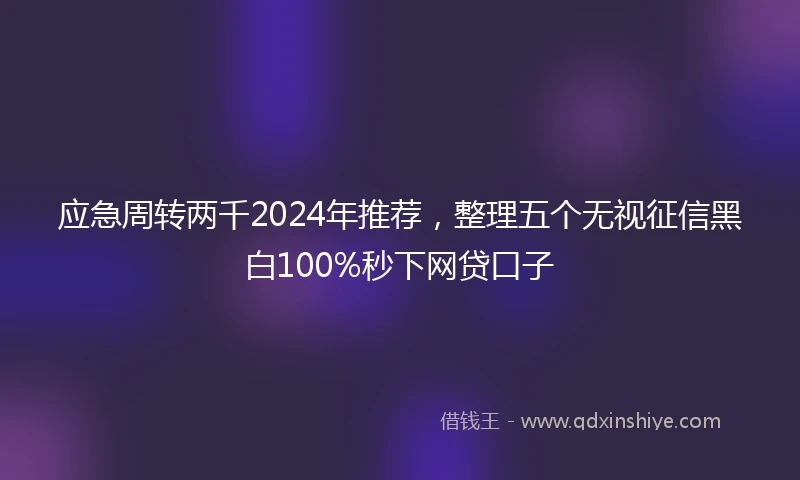 应急周转两千2024年推荐，整理五个无视征信黑白100%秒下网贷口子
