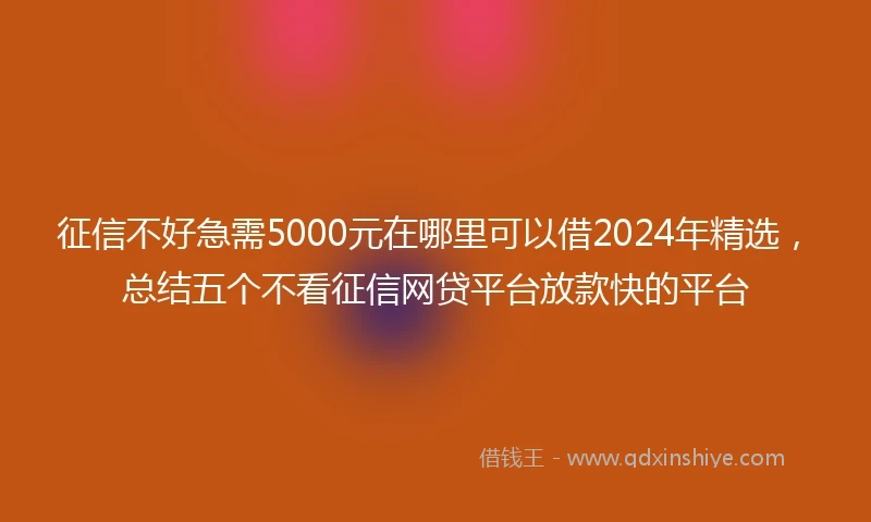 征信不好急需5000元在哪里可以借2024年精选，总结五个不看征信网贷平台放款快的平台