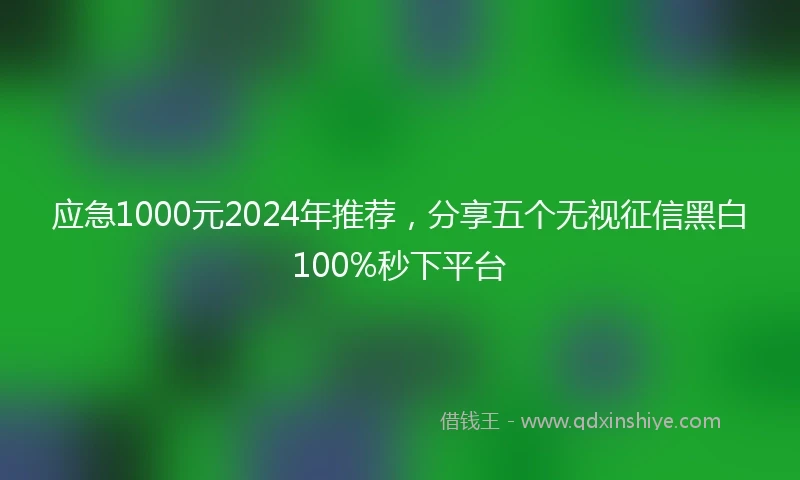 应急1000元2024年推荐，分享五个无视征信黑白100%秒下平台