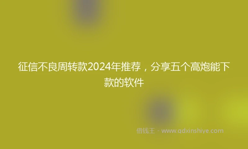 征信不良周转款2024年推荐，分享五个高炮能下款的软件