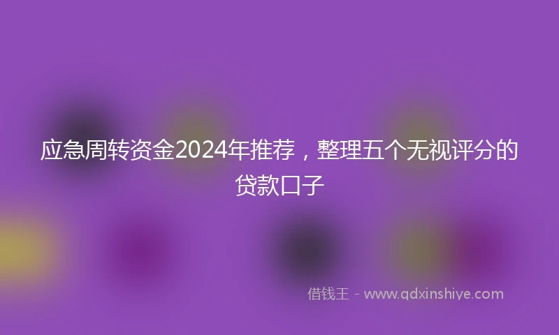 应急周转资金2024年推荐，整理五个无视评分的贷款口子