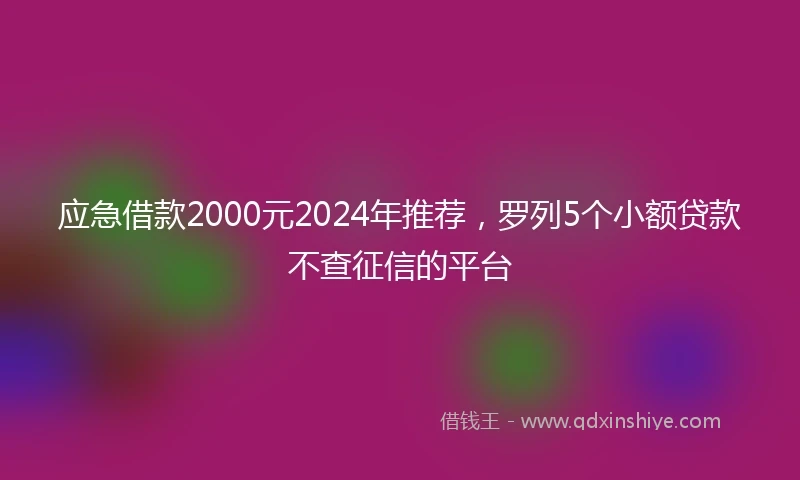 应急借款2000元2024年推荐，罗列5个小额贷款不查征信的平台