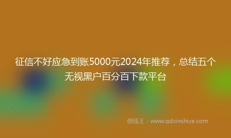 征信不好应急到账5000元2024年推荐，总结五个无视黑户百分百下款平台
