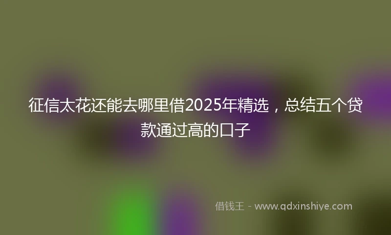 征信太花还能去哪里借2025年精选，总结五个贷款通过高的口子